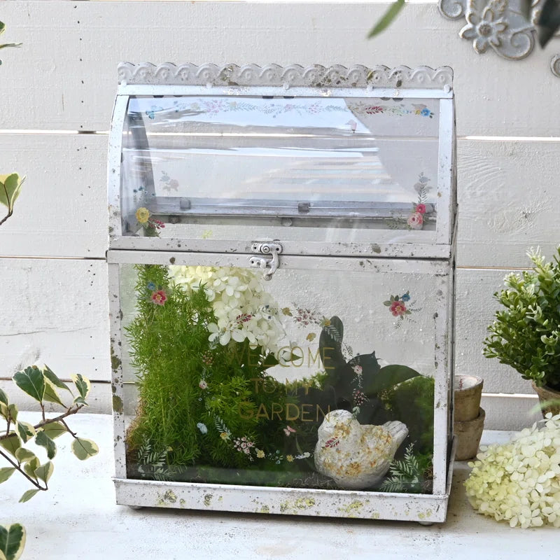 Vintage Glass Terrarium with Acrylic Lid ,Rustic Tabletop Greenhouse for Succulents, Air Plants