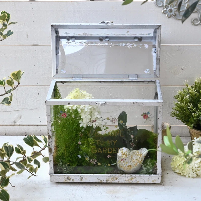 Vintage Glass Terrarium with Acrylic Lid ,Rustic Tabletop Greenhouse for Succulents, Air Plants