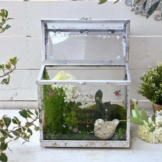 Vintage Glass Terrarium with Acrylic Lid ,Rustic Tabletop Greenhouse for Succulents, Air Plants