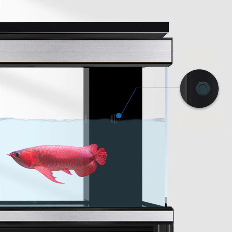 Black Large Minimalist Rectangular Aquarium Tank