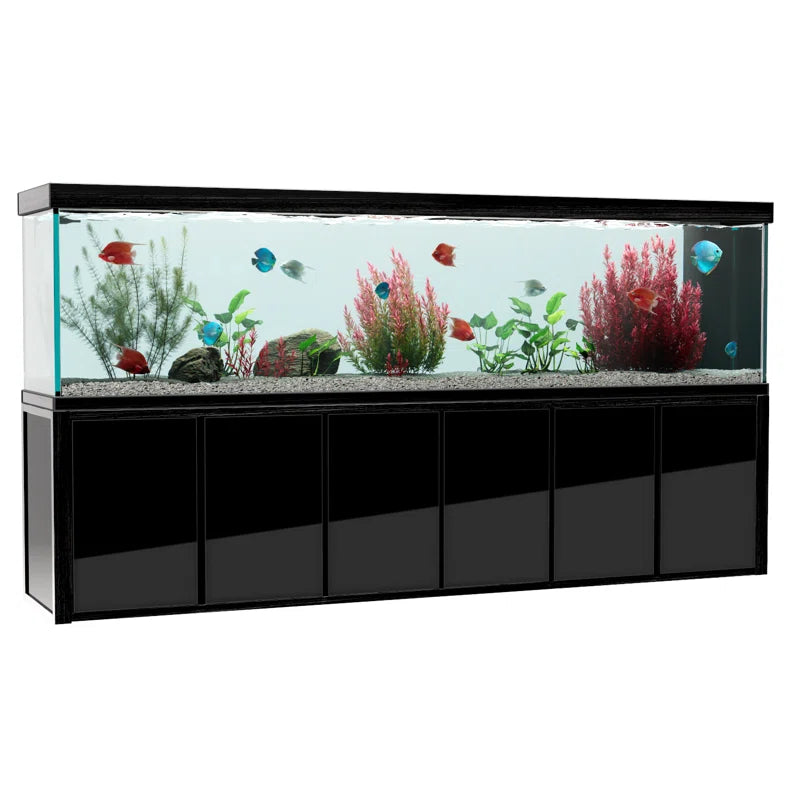 500 Gallon Tempered Glass Aquarium Black