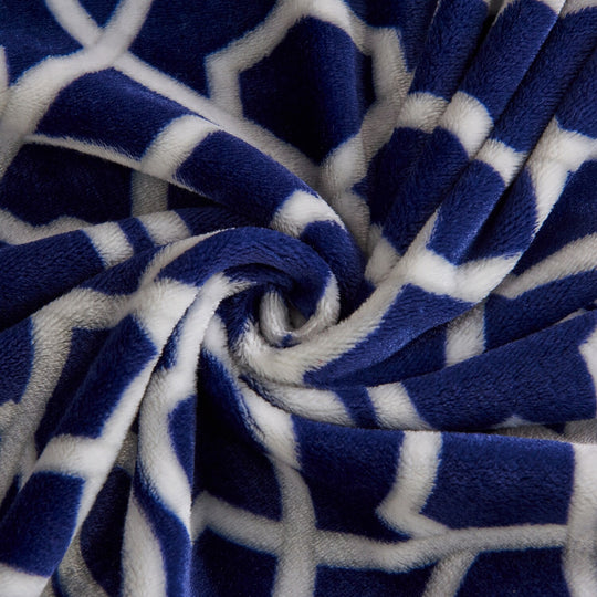 Luxuriously Velvety Plush Blanket Soft Lightweight Blanket