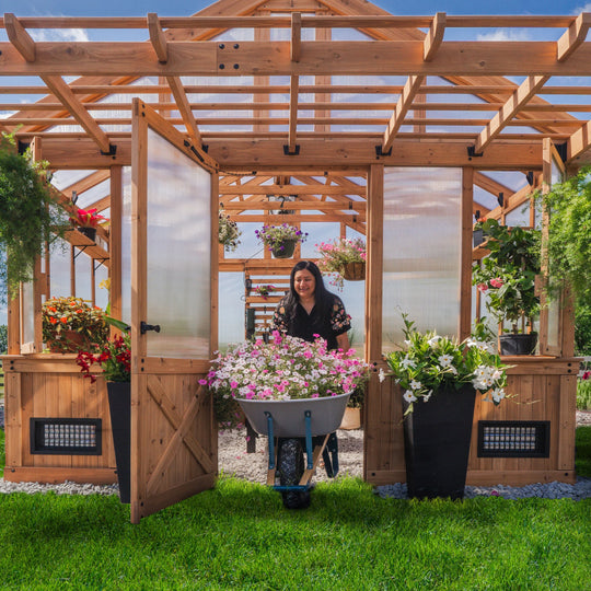 Bellerose XL 13'X11' Cedar Wood Greenhouse, Pergola - 13 X 11