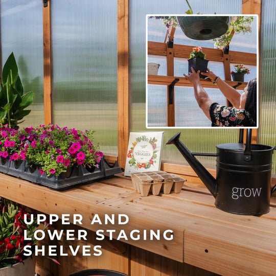 Bellerose XL 13'X11' Cedar Wood Greenhouse, Pergola - 13 X 11