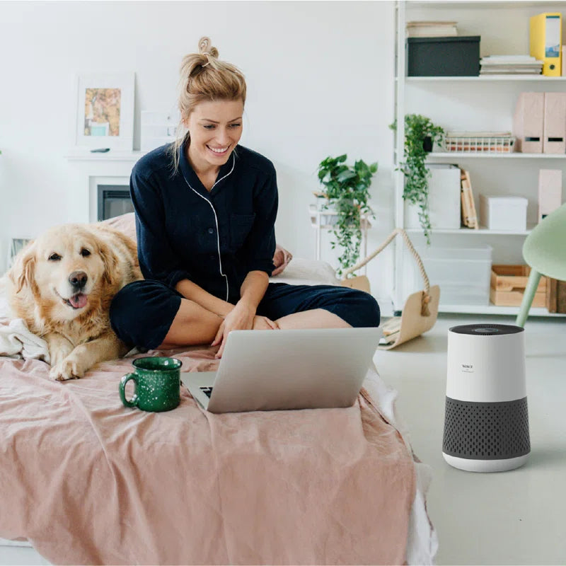 A230 360 Degree All-In-One 4-Stage True HEPA Air Purifier with Plasmawave Technology