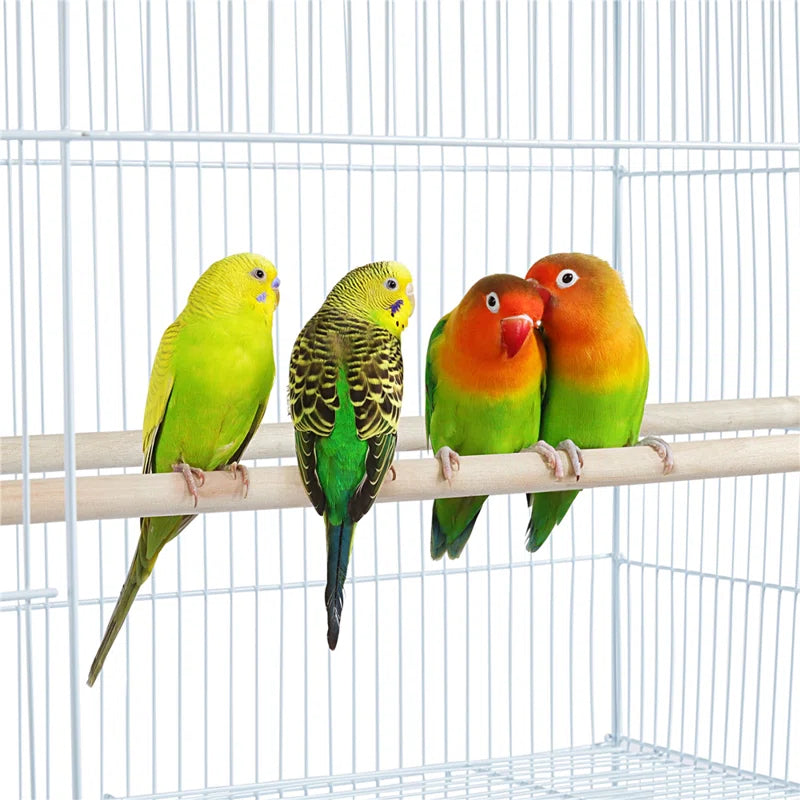 Taylorsville Iron Flat Top Table Top Bird Cage with Perch