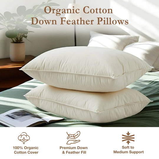Set of 2 100% Organic Cotton down Feather Pillow-In-A-Pillow Design Bed Pillow