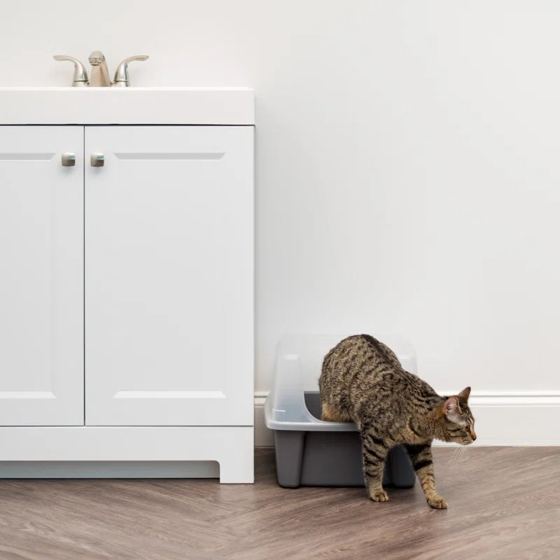 IRIS Open-Top Plastic Cat Litter Box with Shield with Scoop