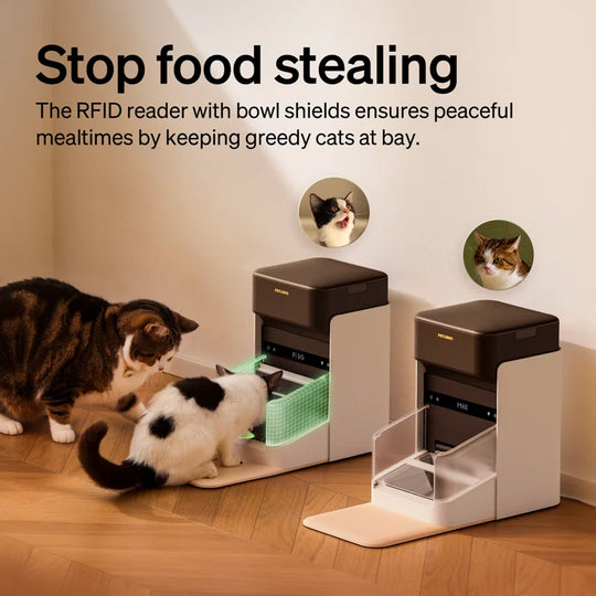 One RFID Automatic Feeder with Smart APP Control, Coffee, 3L, 1 Count