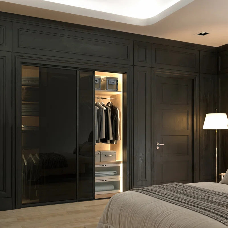 2 Panel - Black Frame - Closet and Room Divider