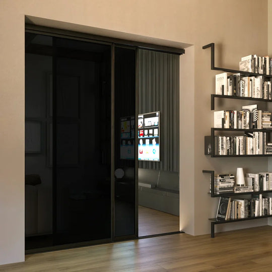 2 Panel - Black Frame - Closet and Room Divider