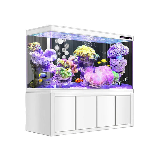 Modern Minimalist Rectangular Eco Aquarium Tank