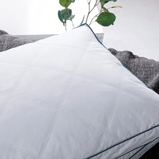 Medium-Firm 2-Inch Gusset Feather and down Pillows Set of 2
