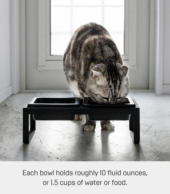 Steel and Ceramic Pet Food Stand, 2 Bowls for Food and Water, Tall, 1.25 Cups