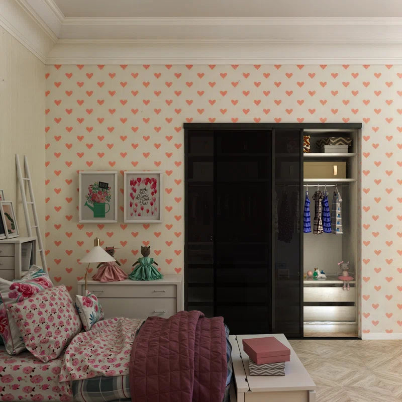 2 Panel - Black Frame - Closet and Room Divider