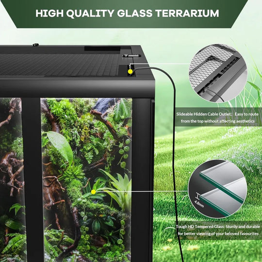 Reptile Glass Terrarium with Top & Side Screen Ventilation Reptile Terrarium, Double Hinge Door & anti Escape Reptile Tank