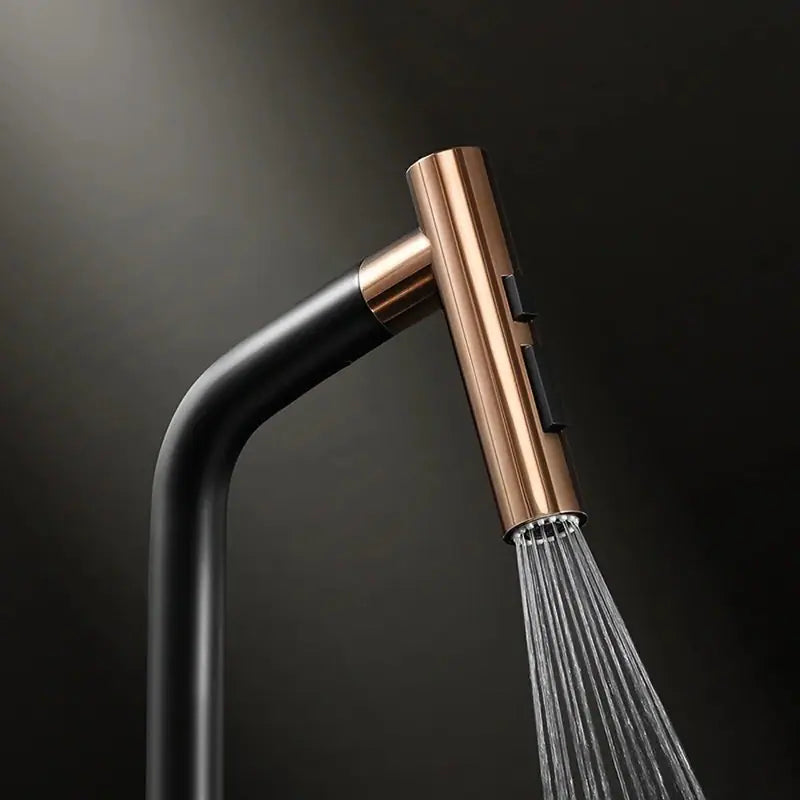 Kitchen Faucet with Pull down Sprayer, Cold & Hot Water Function