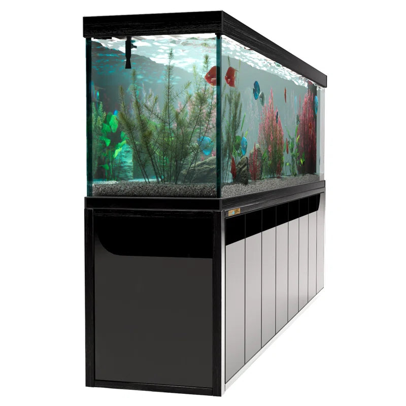 600 Gallon Tempered Glass Aquarium Black