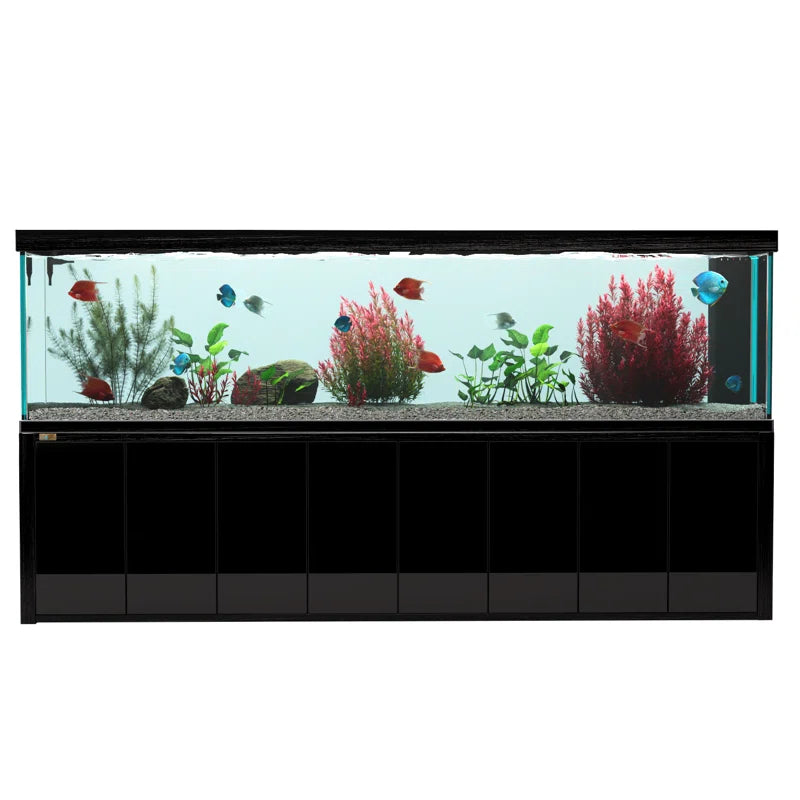 600 Gallon Tempered Glass Aquarium Black
