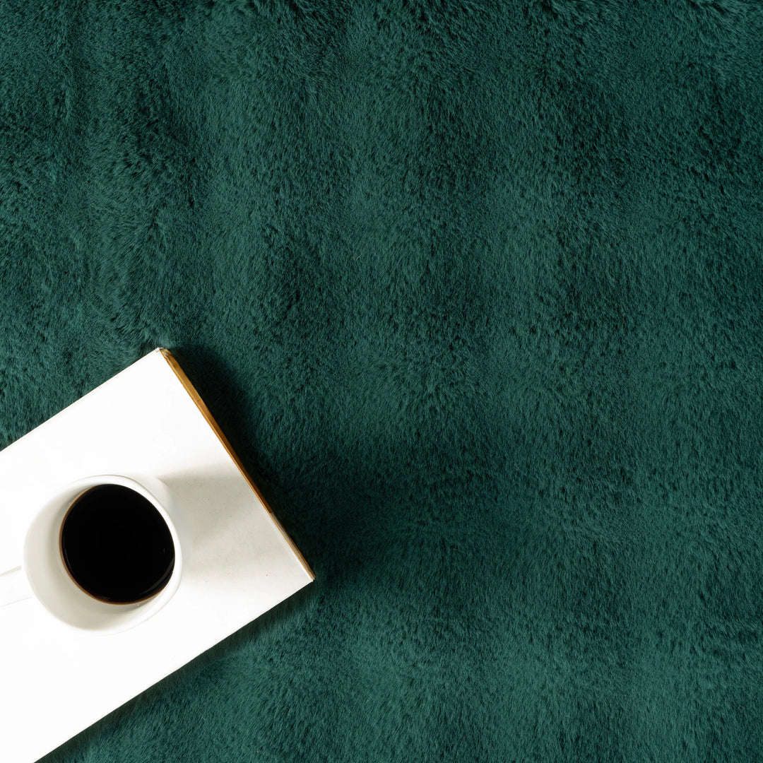 Jeni Solid Plush Machine Washable Area Rug