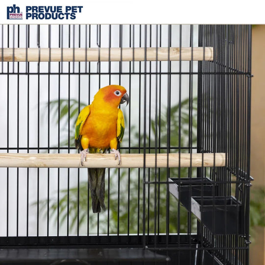 Mae 29.5'' Flat Top Table Top Bird Cage with Perch