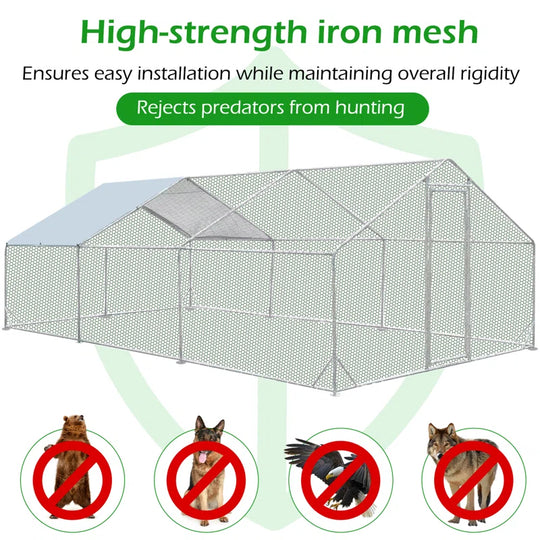 Derward 200 Square Feet Walk in Chicken Run for up to 20 Chickens