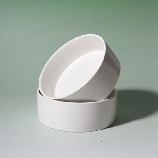 Bone China Double Pet Feeder, Elevated Cat Dog Food Double Bowls, Ceramic Pet Feeding Bowl for Food and Water