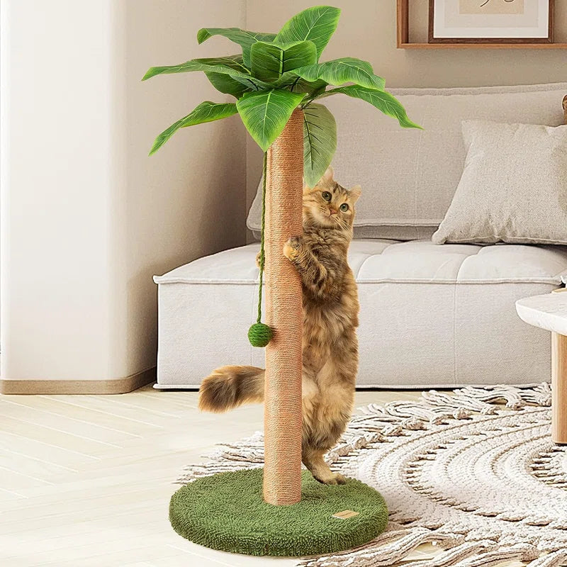 Denasia Scratching Post