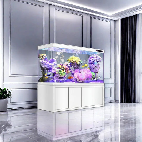 Modern Minimalist Rectangular Eco Aquarium Tank