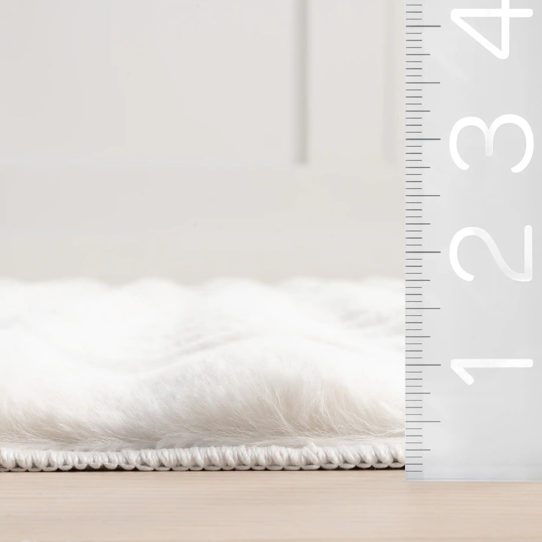 Jeni Solid Plush Machine Washable Area Rug