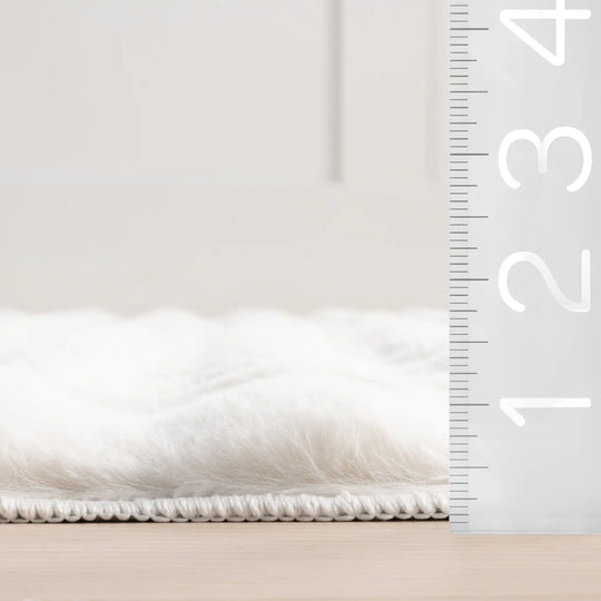 Jeni Solid Plush Machine Washable Area Rug