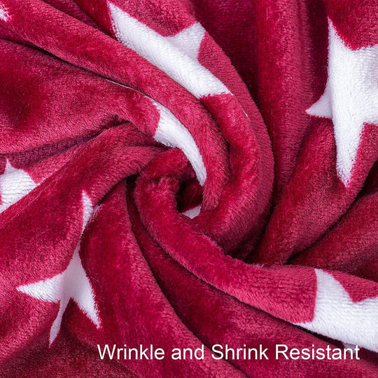 Luxuriously Velvety Plush Blanket Soft Lightweight Blanket