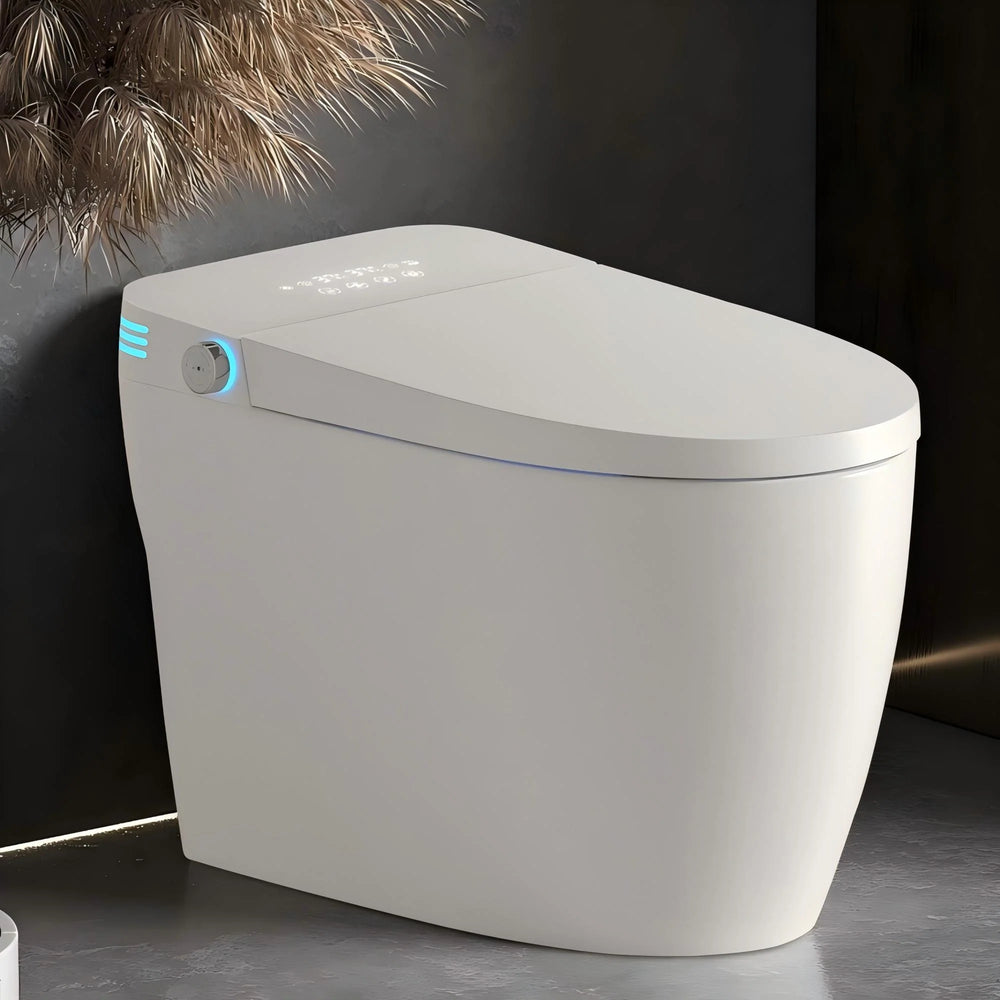 ABRUZZO Smart Bidet Toilet Auto Flush, Heated Seat, Warm Water, Dryer, Remote Control, Panel Black / White Options
