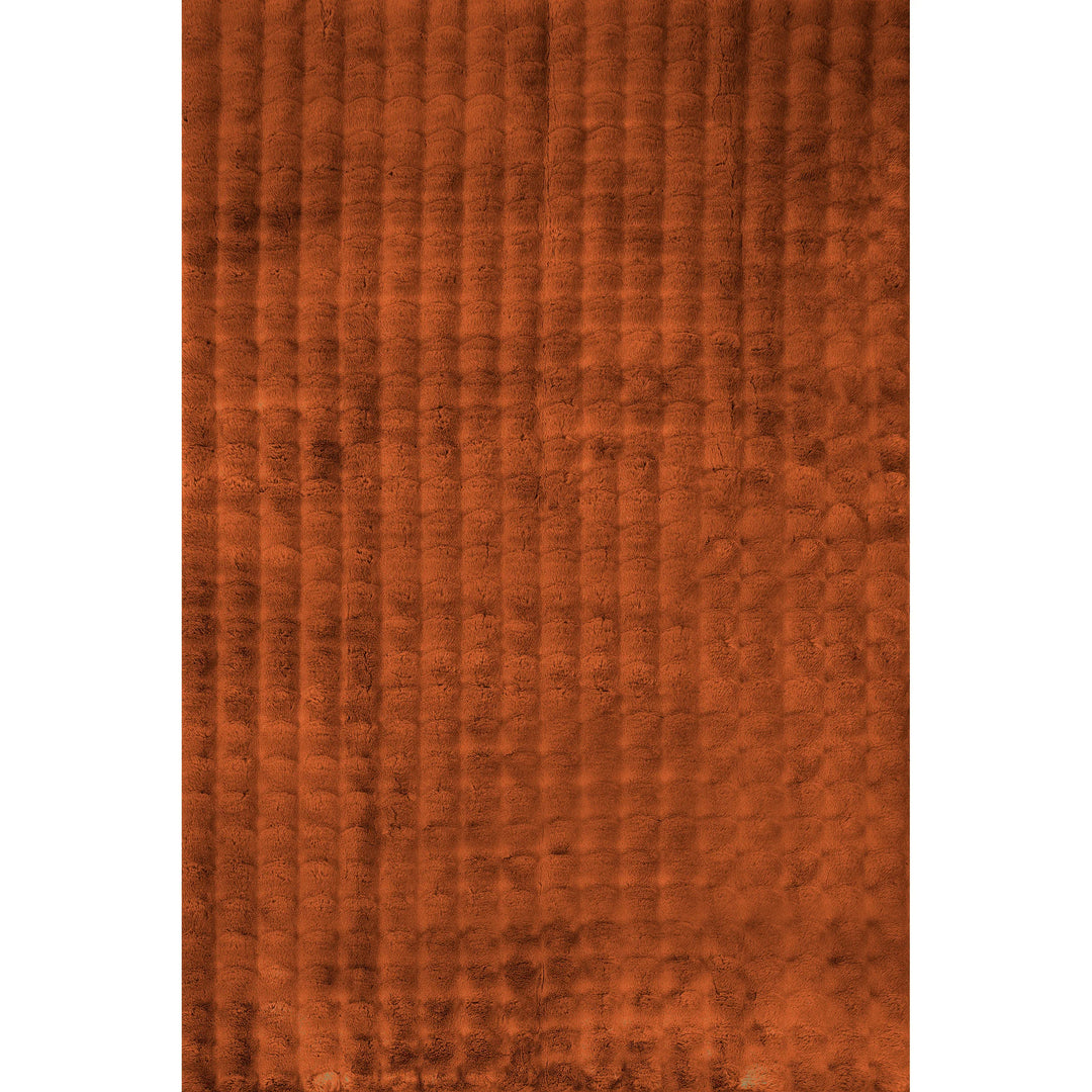 Jeni Solid Plush Machine Washable Area Rug