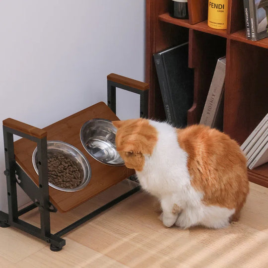 Anti-Skid Elevated Feeder