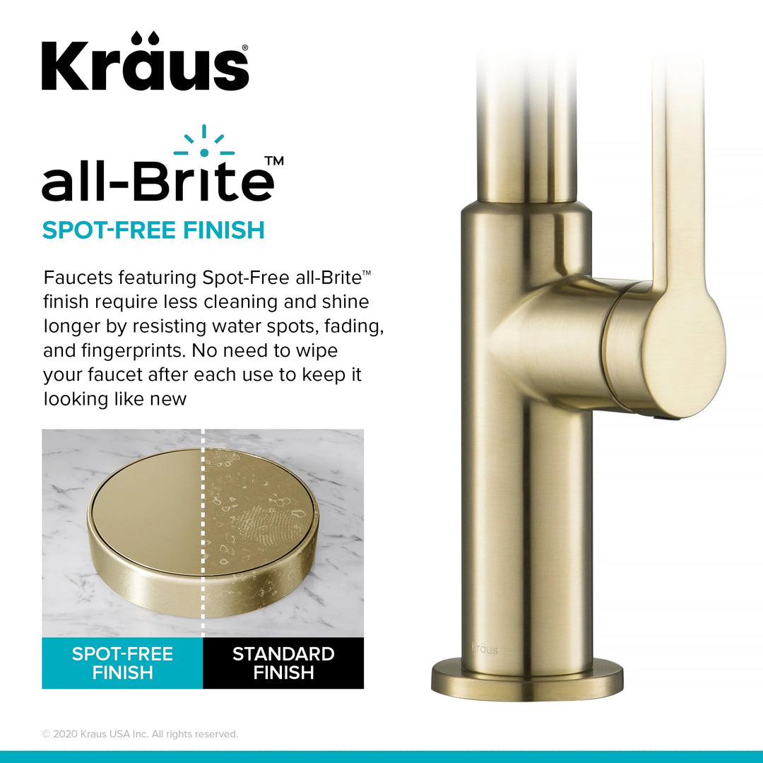 2-Function 1-Handle 1-Hole Pulldown Sprayer Brass Kitchen Faucet