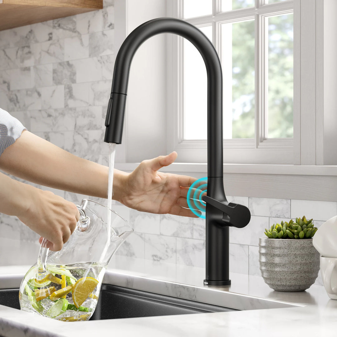 2-Function 1-Handle 1-Hole Pulldown Sprayer Brass Kitchen Faucet