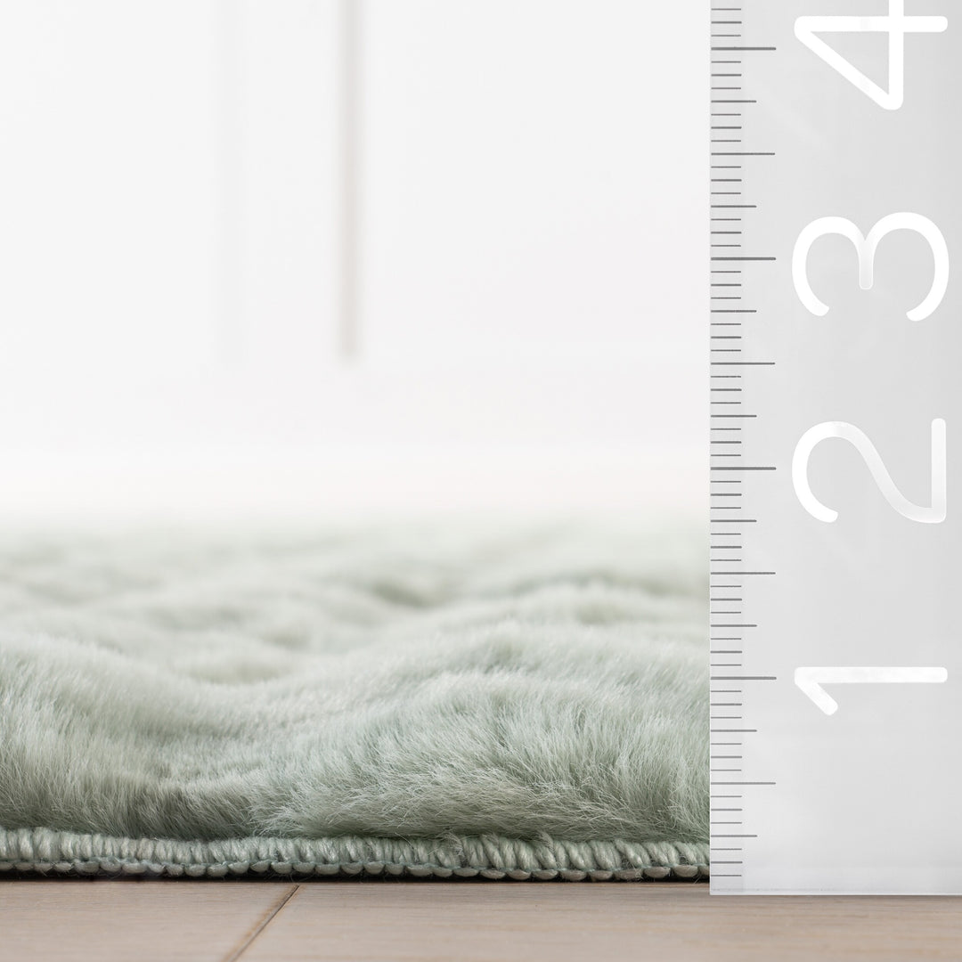 Jeni Solid Plush Machine Washable Area Rug