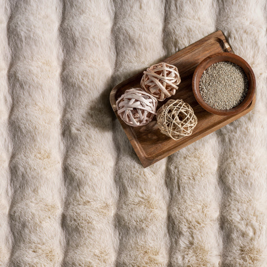 Jeni Solid Plush Machine Washable Area Rug