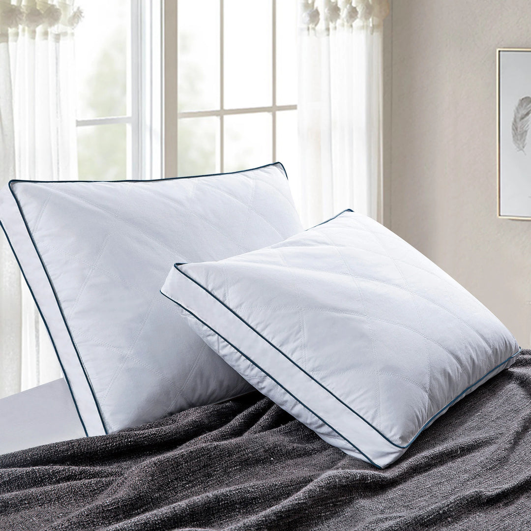 Medium-Firm 2-Inch Gusset Feather and down Pillows Set of 2
