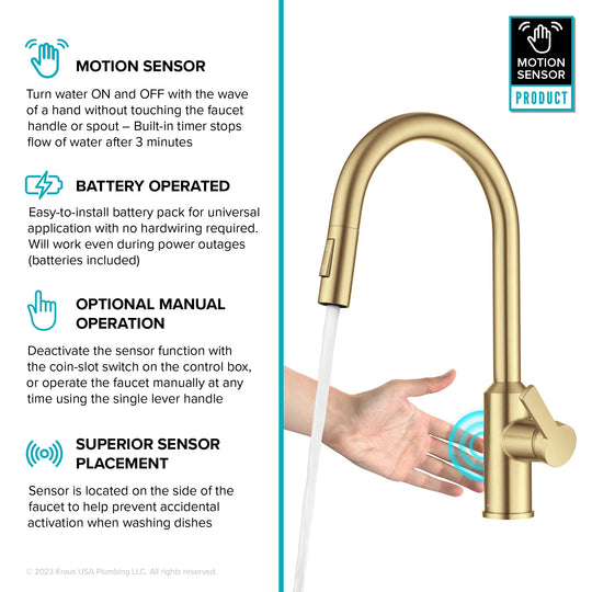 2-Function 1-Handle 1-Hole Pulldown Sprayer Brass Kitchen Faucet