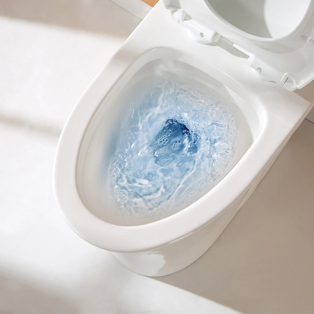 1 Piece Dual Flush Elongated Toilet White 0.8/1.28 GPF Seat Included