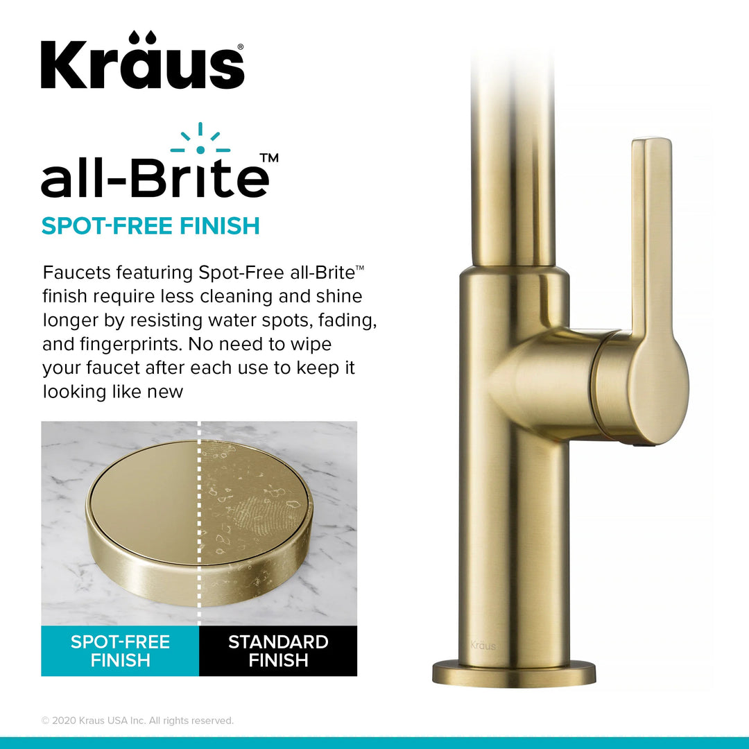 2-Function 1-Handle 1-Hole Pulldown Sprayer Brass Kitchen Faucet