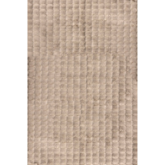 Jeni Solid Plush Machine Washable Area Rug