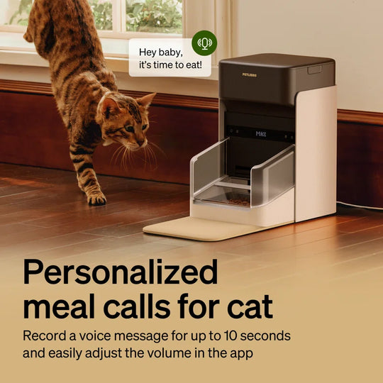 One RFID Automatic Feeder with Smart APP Control, Coffee, 3L, 1 Count