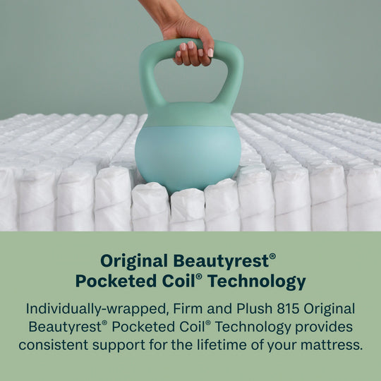 Beautysleep Slumberscape 14.25" Ultra Plush Pillow Top Mattress