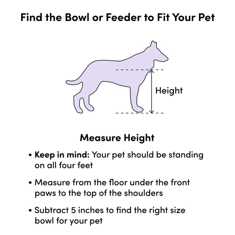 Non-Skid Pet Bowl / Dish