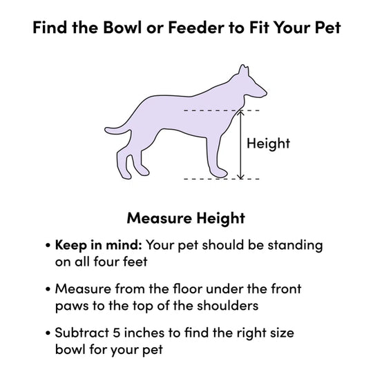 Elevated Feeder