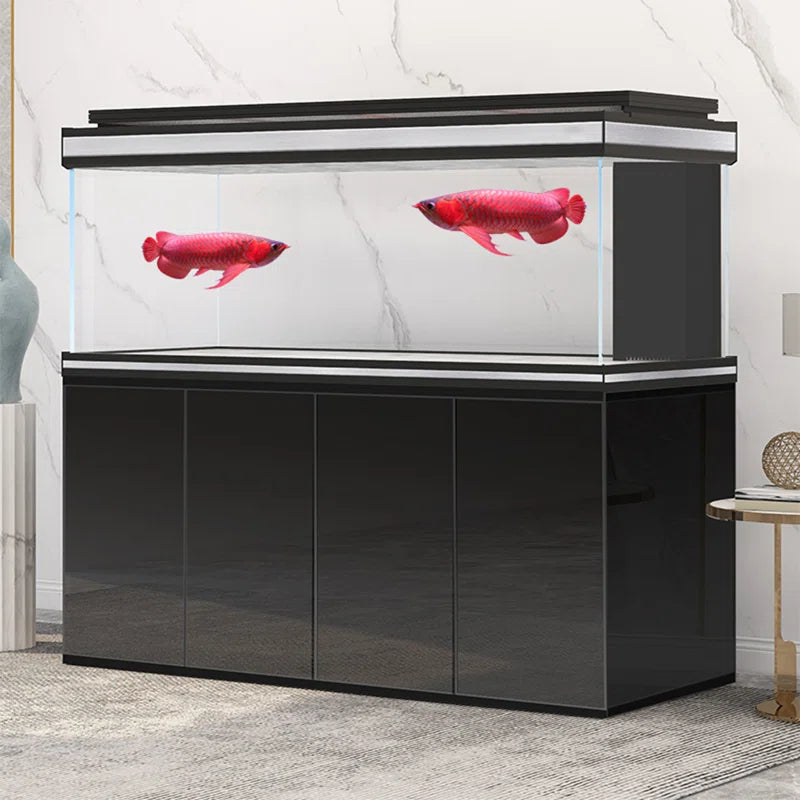 Black Large Minimalist Rectangular Aquarium Tank