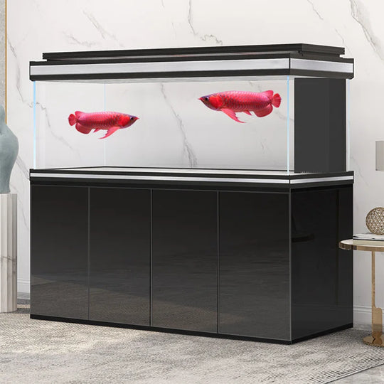Black Large Minimalist Rectangular Aquarium Tank